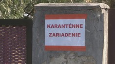 Výnimku zo štátnej karantény by mohli dostať aj opatrovateľky v Rakúsku