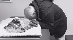 Snímka, ktorá trhá srdce. Muž sa musel rozlúčiť s jeho miláčikom