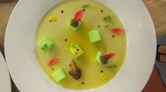 Ovčí syr s medvedím cesnakom, smržami a pomarančovo-zázvorovou redukciou