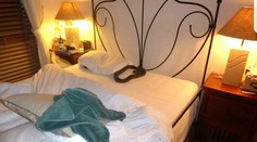 Desivé prebudenie: Pytónovi sa nechcelo spať na streche, priplazil sa do postele