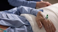 Čierny kašeľ zabíjal u našich susedov. Česi hlásia prvú tohtoročnú obeť