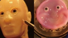 Revolučná novinka japonských vedcov: Predstavili robota s kožou, ktorá sa dokáže sama hojiť