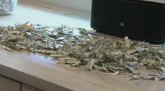 Rok šetrili peniaze, aby si splnili želanie. Vyše 1 000 dolárov im však skartoval syn (2)
