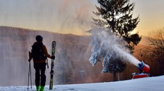 Najprv ju obliala horúčava. Naša reportérka opísala stretnutie s medveďom