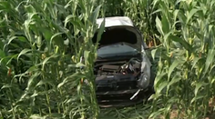 Tragická nehoda pri Vranove nad Topľou! Zomrela okresná sudkyňa