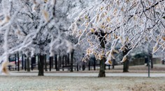 Niektoré časti Slovenska čaká poriadne mrazivá noc. V týchto okresoch bude až do -20 stupňov