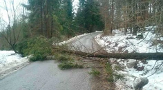 Pozor na silný vietor, výstrahy už platia nielen na horách