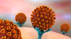 Švédi našli veľké množstvo koronavírusu v kanalizácii