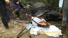 Koňa vystrašil ohňostroj a napichol sa na plot. Utrpel pritom škaredú ranu