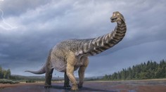Austrálski vedci identifikovali jedného z najväčších tvorov, aké kedy kráčali po planéte