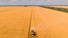 Česko nezakáže dovoz ukrajinského obilia, situáciu chce riešiť na úrovni celej EÚ