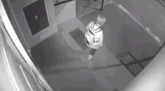 V Leviciach hľadajú levanduľovú zlodejku. Prichytila ju kamera