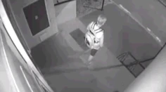 V Leviciach hľadajú levanduľovú zlodejku. Prichytila ju kamera