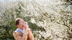 Skorý príchod jari trápi alergikov. Liečba príznakov však nemusí uspávať, alergiu sa dá aj vyliečiť