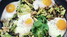 Hliva ustricová s kelom a volskými okami