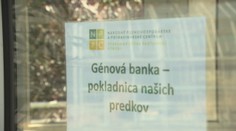 Génová banka: Budova v Piešťanoch skrýva poklad nevyčísliteľnej hodnoty
