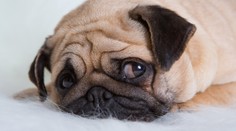 Počasie sa pokazí. Zmena príde cez víkend