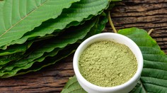 Berú ho, aby prestali piť. Kratom u nás zakázali, no jeho alternatívy vás môžu zabiť