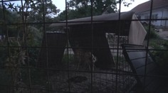 Veterinára podozrivého z týrania zvierat navštívila polícia. Inšpektori hovoria o šokujúcom náleze