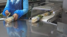 Slováci ju milujú aj odmietajú. Stačí pár minút a máte delikatesu ako z reštaurácie