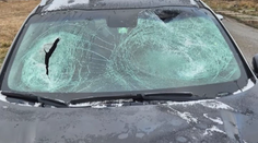 Padajúci ľad z auta môže aj zabíjať. Vodič žiadal o radu, ako si má očistiť kamión, odpoveď ale nedostal