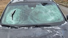 Padajúci ľad z auta môže aj zabíjať. Vodič žiadal o radu, ako si má očistiť kamión, odpoveď ale nedostal