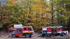 Turistov pri Hriňovej napadla medvedica. Jeden utrpel ťažké zranenia