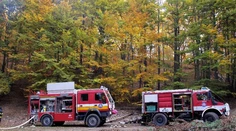 Turistov pri Hriňovej napadla medvedica. Jeden utrpel ťažké zranenia