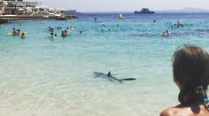 Českého turistu (†41) zabil v Egypte žralok