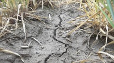 Slovensko má za sebou rekordne suchý apríl. Najviac trpí nedostatkom dažďa juh krajiny