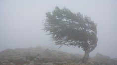 Obrovská zmena počasia: SHMÚ vydáva výstrahy, vietor môže dosahovať rýchlosť víchrice. Hrozia aj búrky