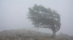 Obrovská zmena počasia: SHMÚ vydáva výstrahy, vietor môže dosahovať rýchlosť víchrice. Hrozia aj búrky