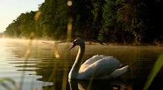 Tohtoročná jar patrí na západe medzi najchladnejšie za posledných 40 rokov