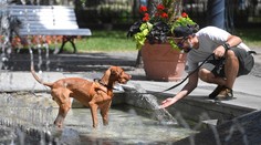 V utorok sa môže teplota v jednom z okresov na východe Slovenska blížiť k 40 stupňom Celzia