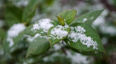 Krásne počasie je v nedohľadne. Na západe dnes môže napadnúť 7 centimetrov snehu