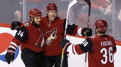 Pánikova asistencia Arizone nestačila, Coyotes doma prehrali s Wild