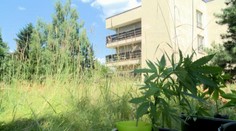 Námestník žilinskej nemocnice Hochel rezignoval