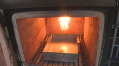 Nečakaný trend medzi milovníkmi zvierat. Zajačiky aj rybky nechávajú Slováci spopolňovať