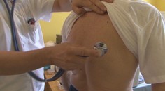 Pri Prievidzi sa naďalej šíri žltačka. Hygienici hľadajú riešenia, ako sa s ňou vyrovnať