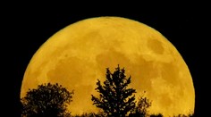 GALÉRIA: Prvý superspln tohto mesiaca je za nami. Ľudia ho zachytili naprieč celým svetom