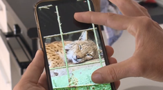 Leopard, ktorý usmrtil v zoo pri Brezne svojho chovateľa, má nový domov v Holandsku