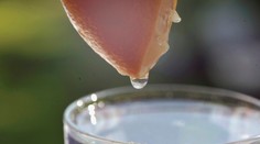 Pozor na tieto nepriaznivé účinky citrónovej vody