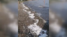 Návštevníkov Zemplínskej šíravy čakalo nepríjemné prekvapenie. Pláže sú plné polystyrénu