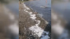 Návštevníkov Zemplínskej šíravy čakalo nepríjemné prekvapenie. Pláže sú plné polystyrénu