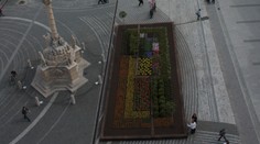 V Trnave majú kvetinový záhon dlhý 20 metrov