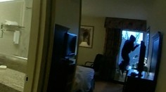 Chcel vyskočiť z okna, aby ušiel polícii. Podozrivému násilníkovi sa teraz smeje celý internet