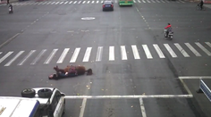 Nevšedná nehoda: Na rušnej križovatke sa zrazil kôň s autom