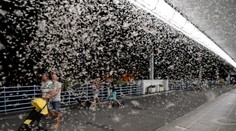 Známy most v Piešťanoch zaplavil hmyz: Prechádzajúci ľudia od úžasu len lapali po dychu