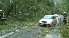 Pozrite sa, čo všetko príroda „vyviedla“