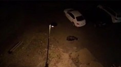 VIDEO: Medveď sa prechádzal pod balkónom apartmánu v Starom Smokovci